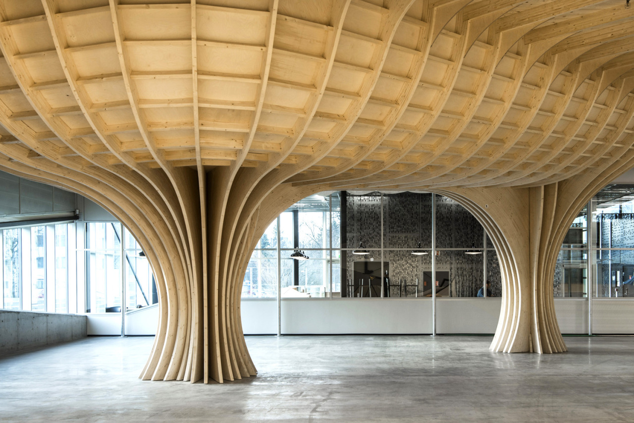 kazu721010:  Oslo Skatehall / Dark ArkitekterPhotos © Finn Ståle Felberg, Lars