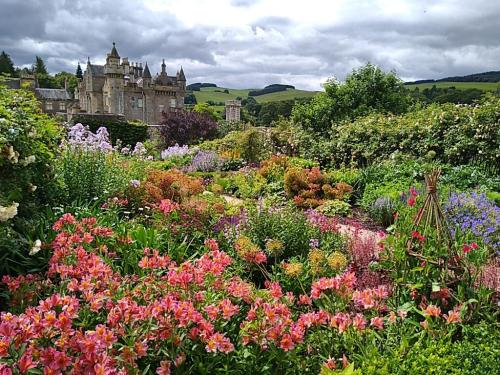 (via Great afternoon walk around Abbotsford. Gardens look superb. : Scotland)