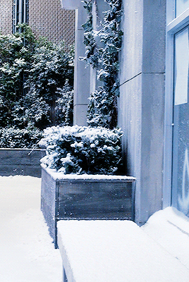 - I Saw Ali Kissing Santa Claus. - Was It A Guy Or Girl? 