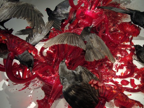 himinbjorg-bound: lady-decay:        Ten stuffed crows carefully placed on a shattered red chandelier to look as if they were feasting on a dead animal.    Javier Perez 
