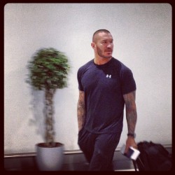 rwfan11:  hot4men:  therubymichaelsblog:  Abu Dhabi pic  Reaching for something in that pocket Randy?! Here allow me! &gt;:)  Randy Orton 