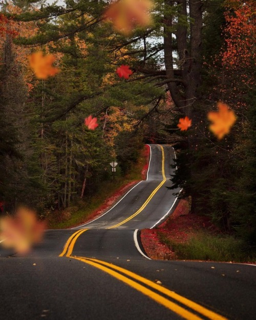 essenceofnatvre: chasing_thesunset•Endless Roads•I’ve been DYING to get a shot like this for ages! F