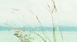 regrowing:           Something always held me back or stood in the way. How you live your life is yo