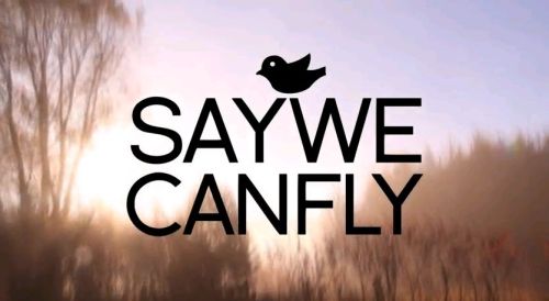XXX justanotherfangirl124:  SayWeCanFly - Scars  photo