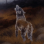 carl-art