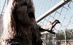 Were All Infected: A Teen Wolf Zombie AU