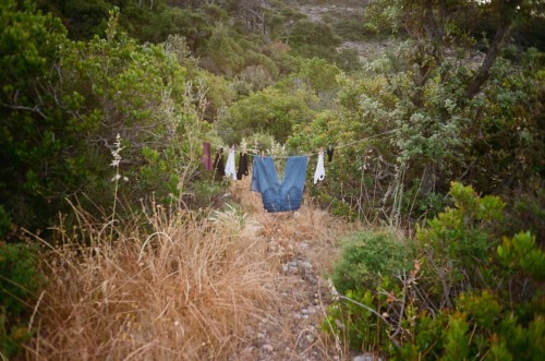 Ikaria, Greece, 2021 #ikaria #greece #aegeansea #island #northaegeanisland #camping #laundry #freeca