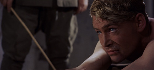 davidlyynch: Lawrence Of Arabia (1962)