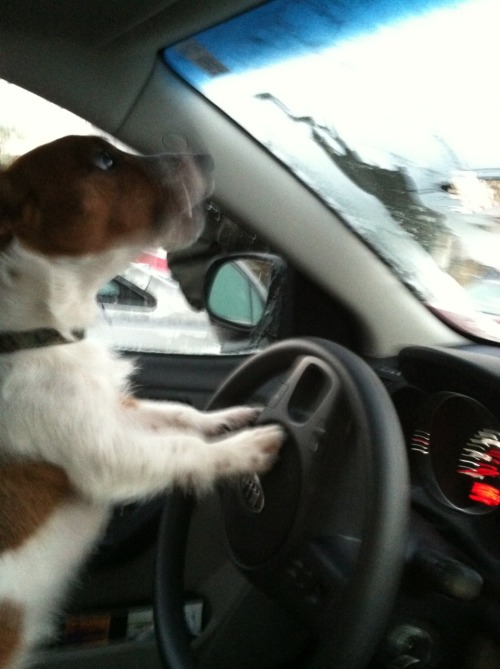 meatlover3000:they see me driving downtown with the girl i love