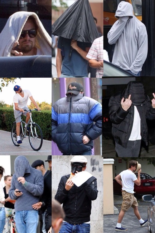 bootyinvestigator: I made a ‘Leonardo Dicaprio hiding from the paparazzi’ wallpaper for 