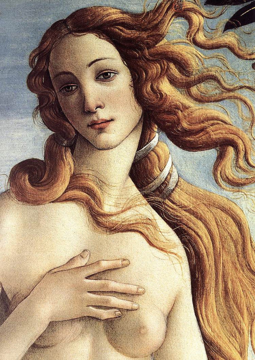BOTTICELLI, Sandro - The Birth of Venus (detail)3 da Faces of Ancient EuropeTramite Flickr:BOTTICELL