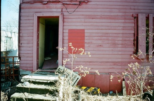 goldenprairies: abandoned pink house!