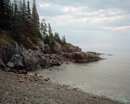 anjalipinto:A few of the marvels I witnessed at Acadia National Park, Bar Harbor, Maine.