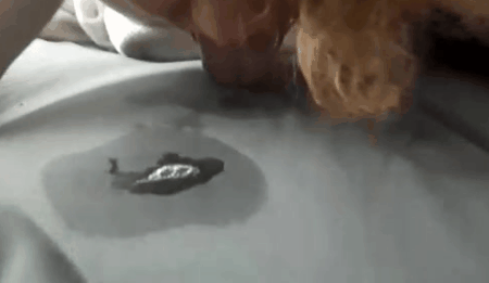 saymeanthingstome: A girl and her filth