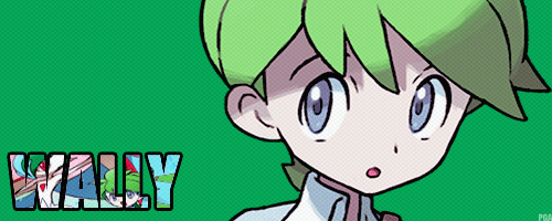 pokemon-global-academy:  Pokemon Anime Challenge: Day 24 - A character you wish was in the anime  Wally (Mitsuru) 