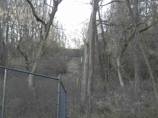 Sedamsville Woods (Sleepers Hill)   These woods are said to be Haunted by the ghost