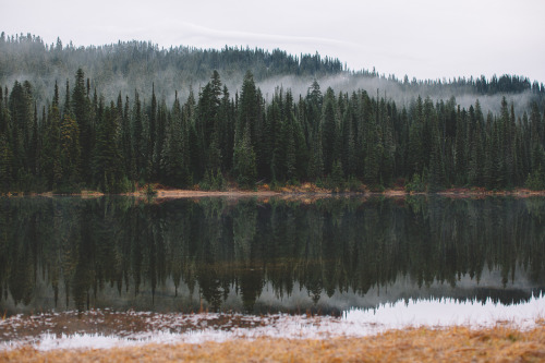 jaredatkinsphoto:Reflection Lakes. Processed using #VSCOfilm06 — The Alternative Process 