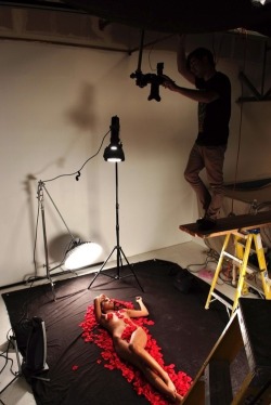 cinyma:  Behind the scenes of American Beauty,