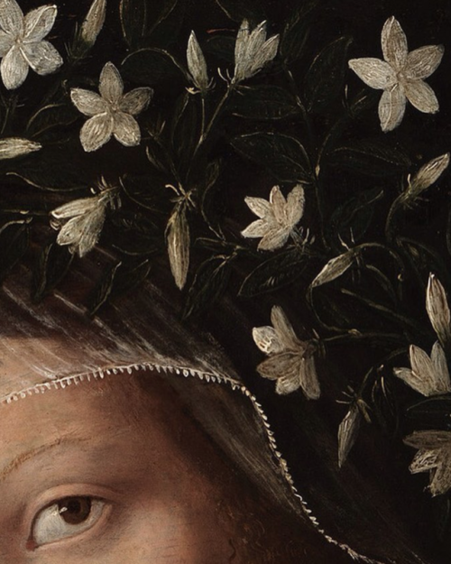 oblivion-soave:Santa Caterina D´Alessandria (detail), sec. XVI, Bartolomeo Veneto