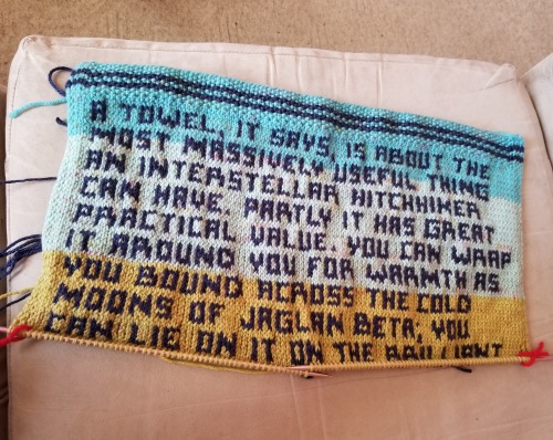 teashopcrafts:Current work-in-progress, lol, prepping for Towel Day.  This quote is much longer