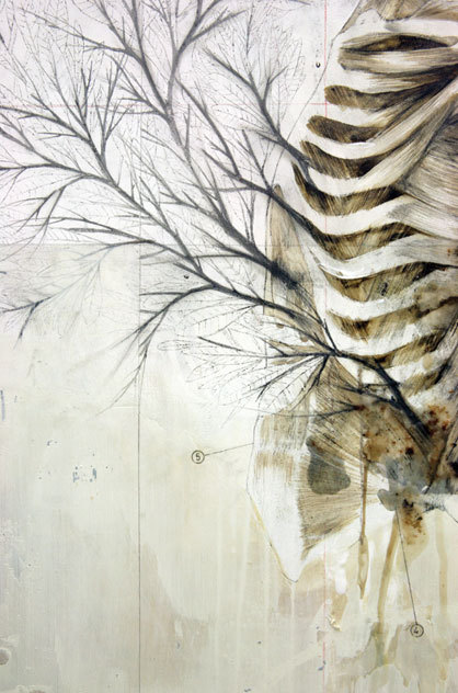 nunziopaci:Nunzio PaciTitle: HerbivoreDim: cm 80x70Tecnique: pencil, oil, enamel, resins on canvasYe