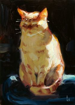 vialjarhorn: Sun Cat. 7 x 5 inches, oil on hardboard.
