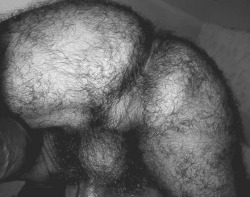 thehairiestmen:  The hairiest mengorilla ass