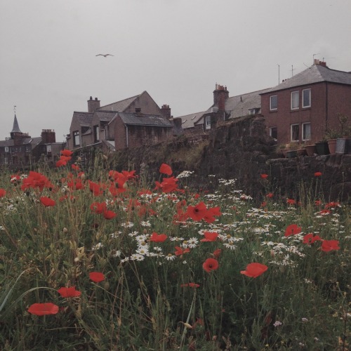 branssummer: dunnottar castle // stonehaven // aberdeen