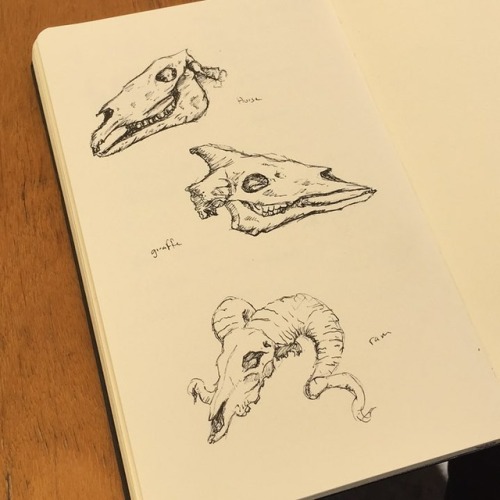 Practice/warm ups #sketch #sketching #ink #penandink #drawing #skull #skullart #skullartwork #spooky