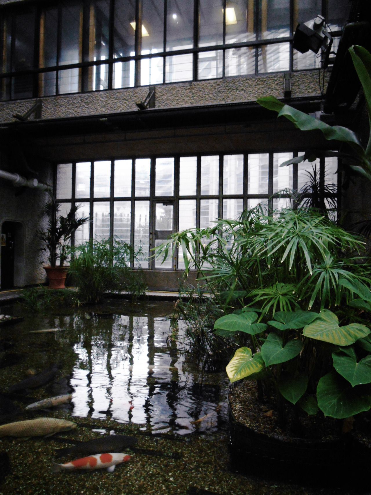 veronicadelica:  barbican’s conservatoryWeronika Dudka