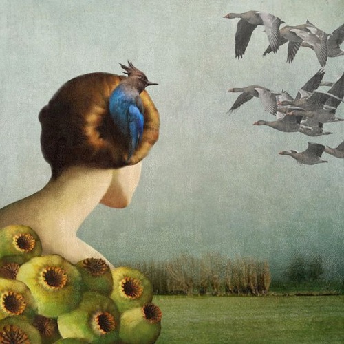 boscosotto: Daria Petrilli.