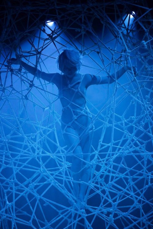 justscreenshots:Shibari & Photo Hajime Kinoko