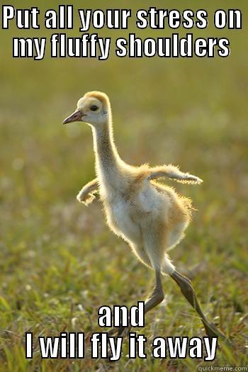 thatweirdkiddyouknow:  Supportive Sandhill Crane 