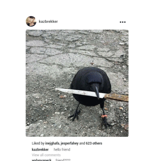 noorabaetre:the crows + instagram [1/6] ⇢ kaz brekker