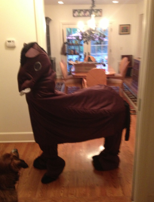 deadkaworu:  my little sister and her friend said they were going as horses for halloween