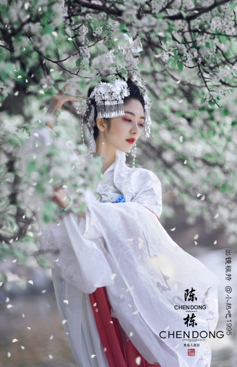 chinese hanfu