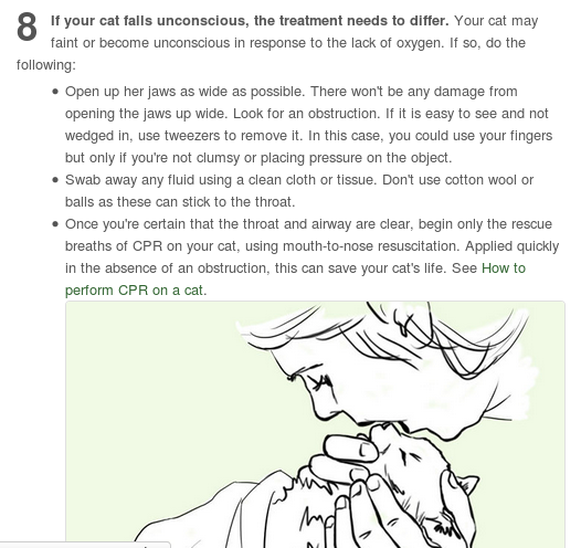 I always see the dog choking info on here, so here’s what to do if a kitty is choking