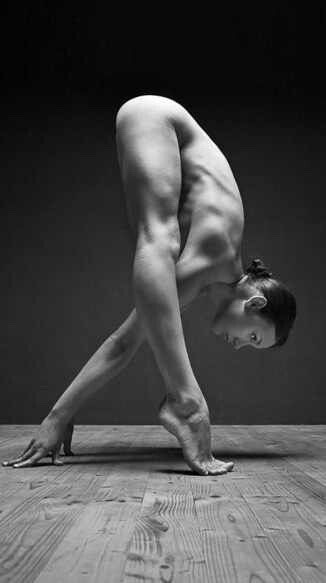 Fantasies of a Dark Elf