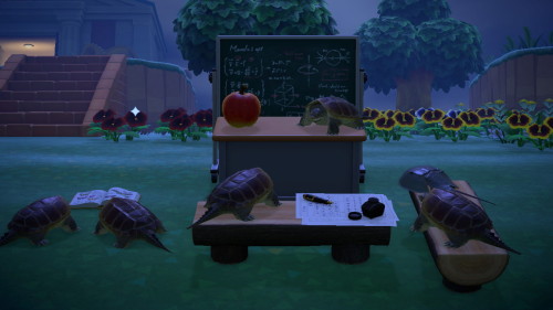 madredhattie: madredhattie: turtle school