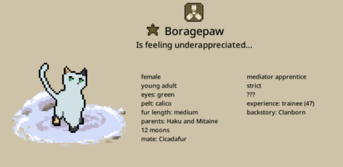 Borage Paw is feeling underappreciated. she are a mediator apprentice
