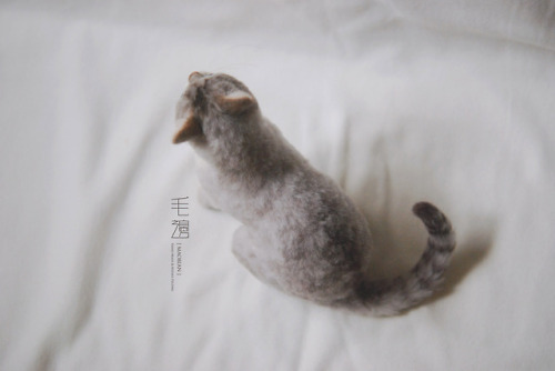 ▋ Siamese Tabby ( custom-made )Sculpture approximately 11 x 15 x 21 cm ( not including the tail )