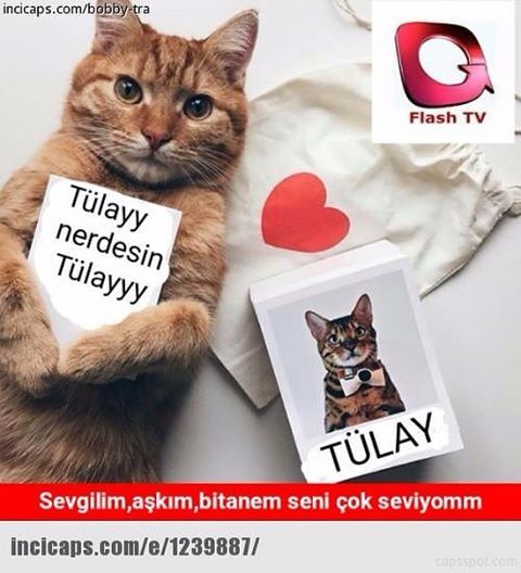 Tülayy
nerdesin
Tülayyy


S...