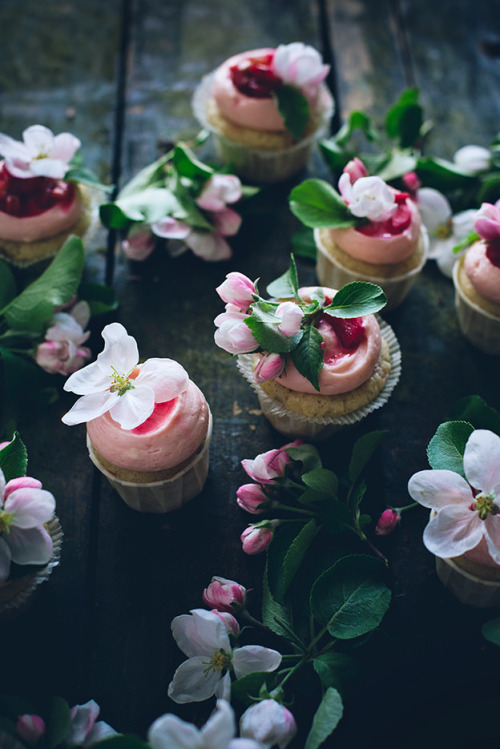 cupcakejunkie: Sourcream rhubarb cupcakes with ginger cream cheese frosting and poached rhubarb