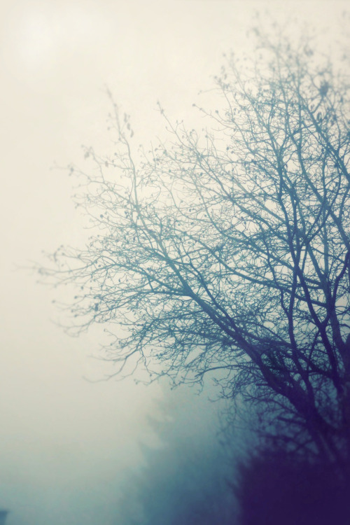 Rain Light&lt;Landscape veiled in fog. Nostalgic dreams. Diffused light. Unknown existence.&gt; 