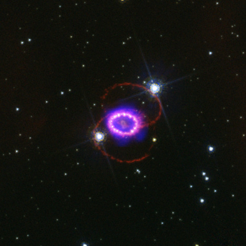 antikythera-astronomy:  antikythera-astronomy:  Nebulae are beautiful, but supernova remnants give them a run for their money  If you’re wondering what it’s like inside a supernova bubble, wonder no more: you’re in one. Long ago one or more local