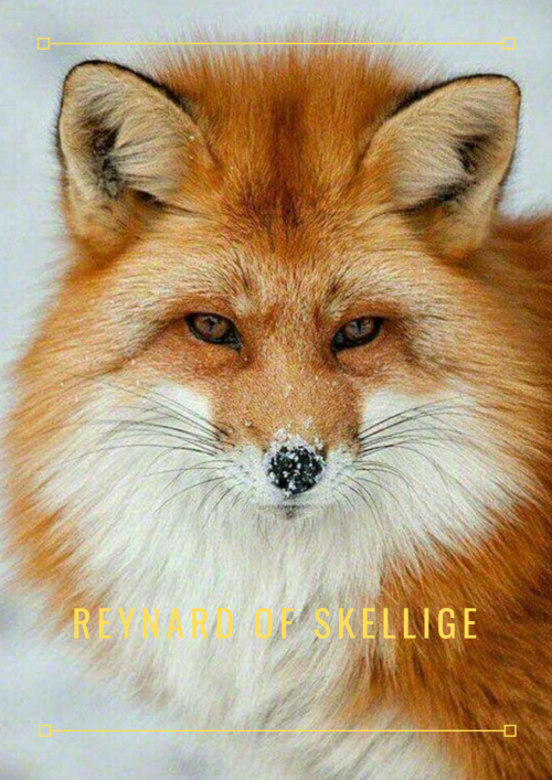 briarfox13: Reynard of Skellige Aesthetic Posters 