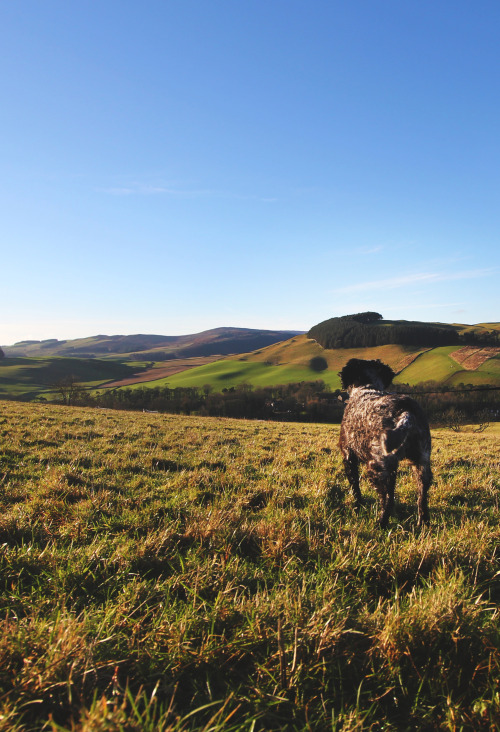 Scottish Borders