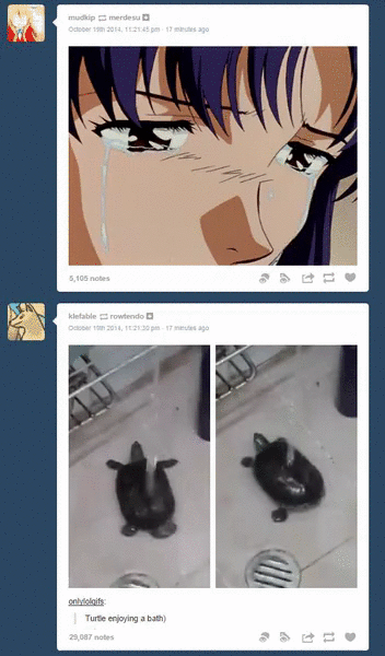 XXX ririmon:  this just happened on my dashboard photo