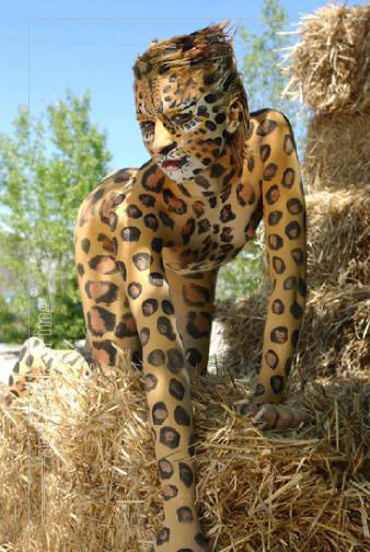 bewilderbeast-petboy:  more weird cats
