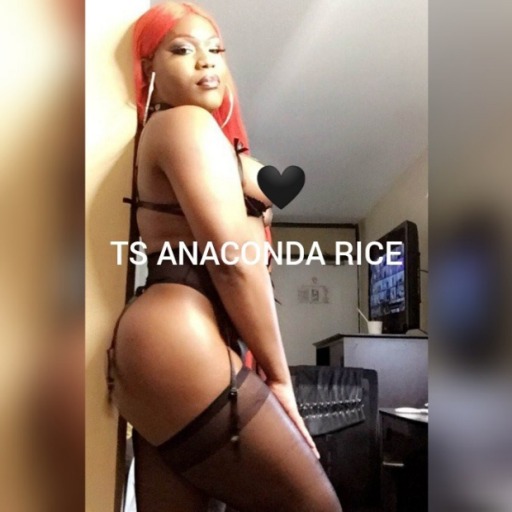 ts-anaconda-rice:  OMG ONE OF MY FANS JUS